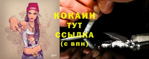 хмурый Арсеньев