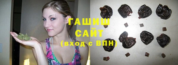 гашик Балахна