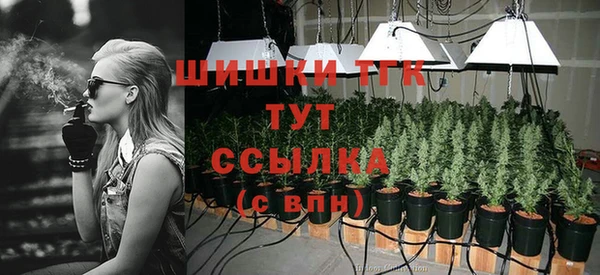 хмурый Арсеньев