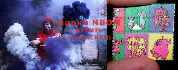 хмурый Арсеньев